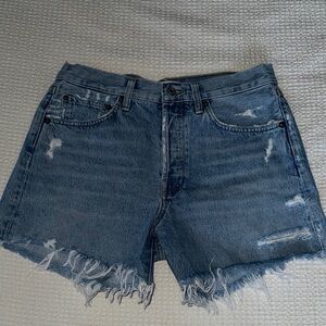 Agolde Parker Long Shorts